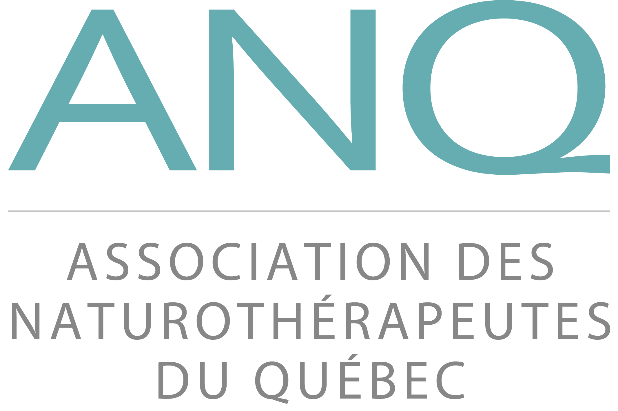 LOGO ANQ - 2022